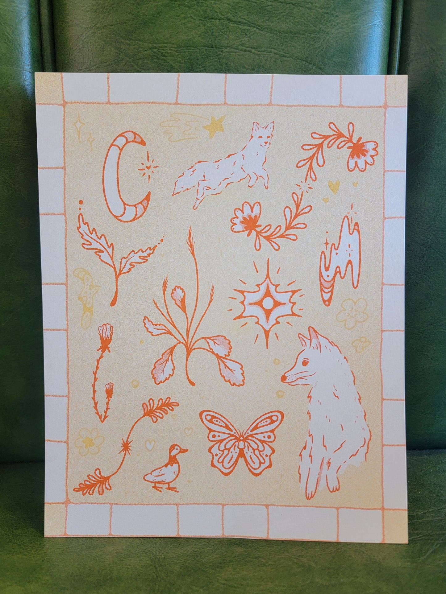spring fox flash riso
