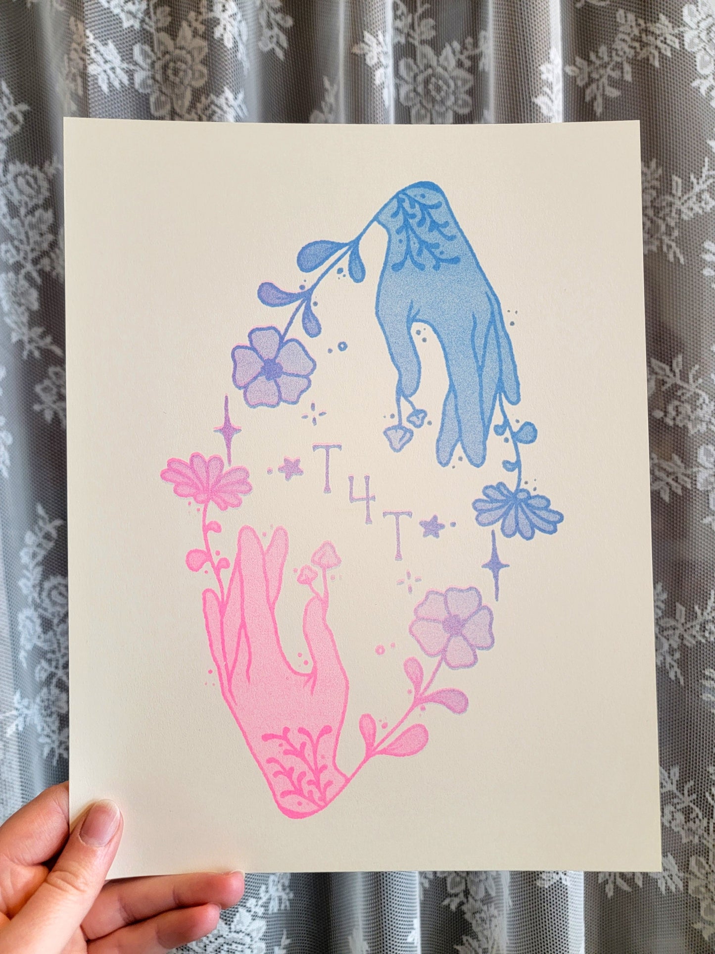 t4t riso
