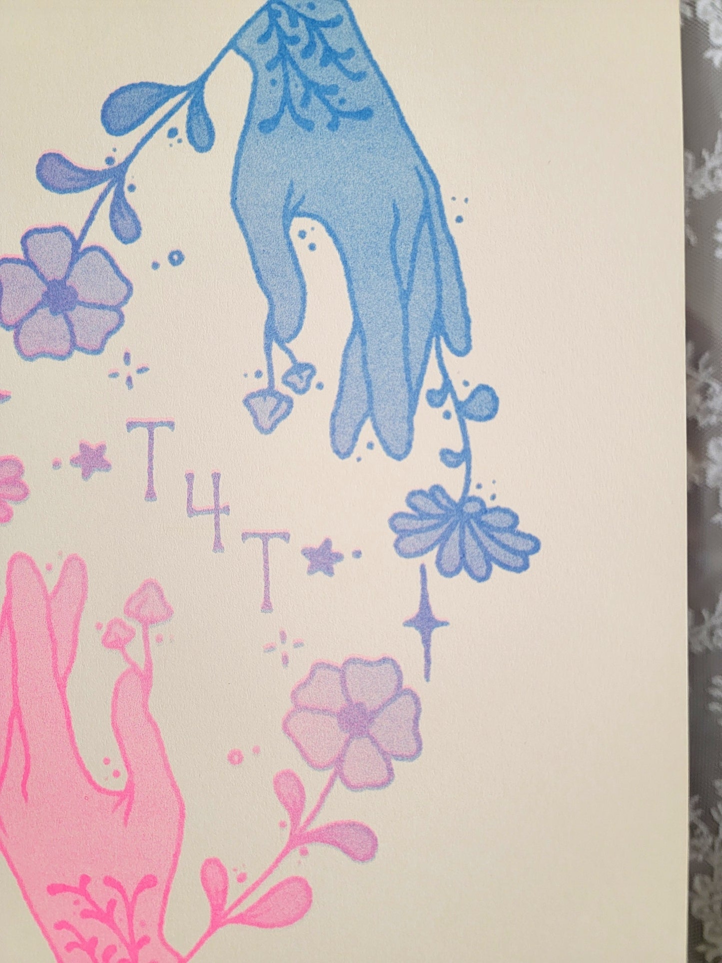 t4t riso