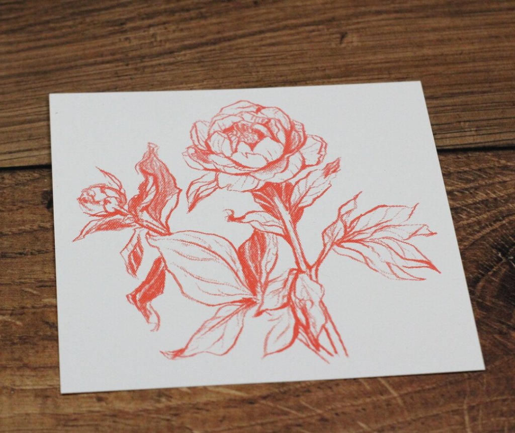 Peony