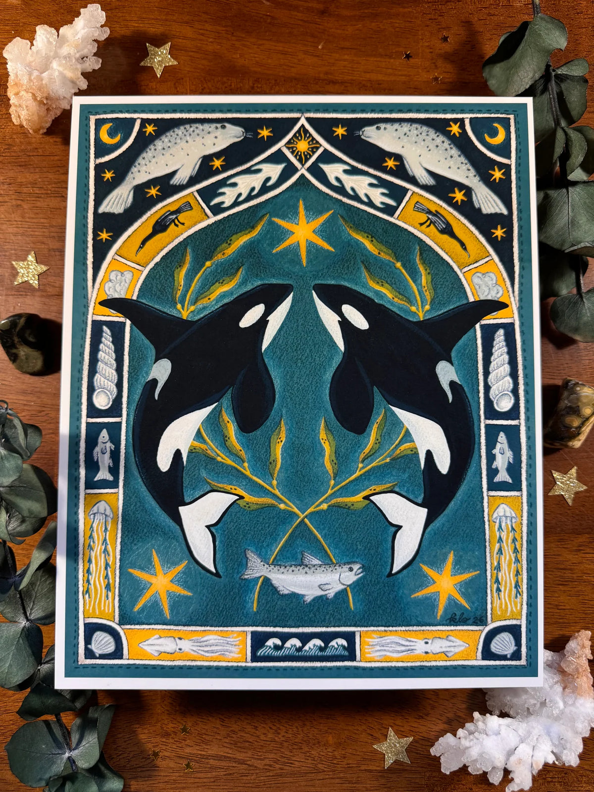 Orca Killer Whale