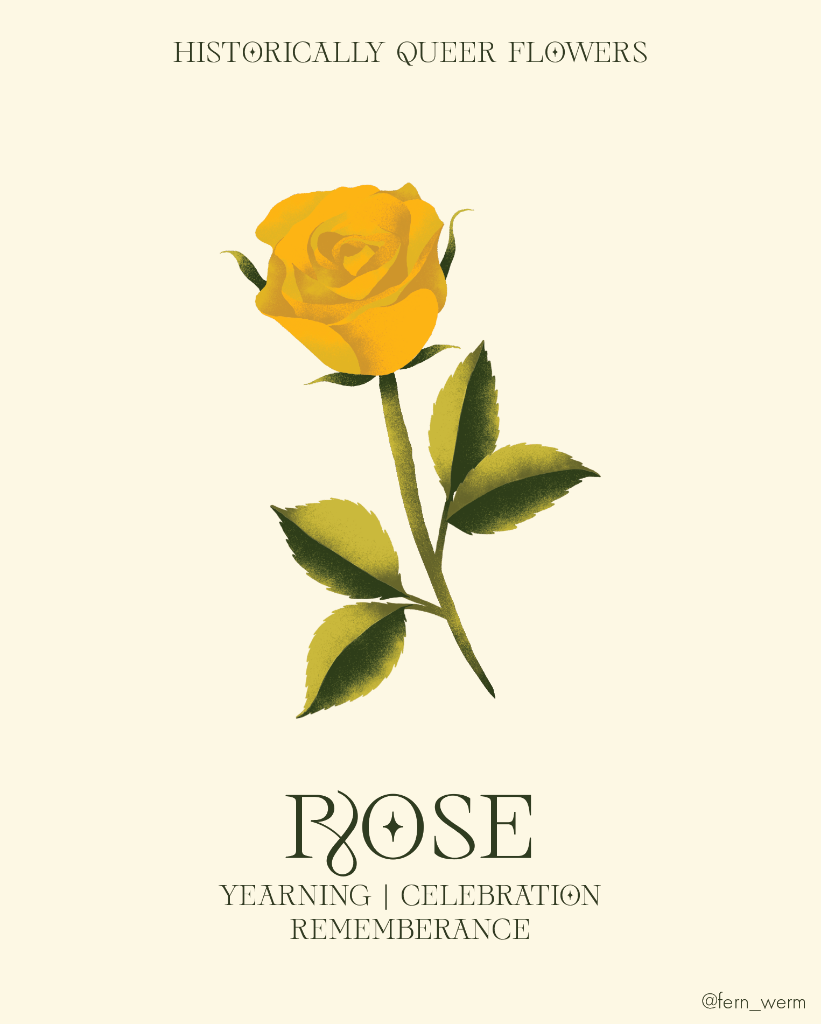 Rose: Yearning | Celebration | Rememberance