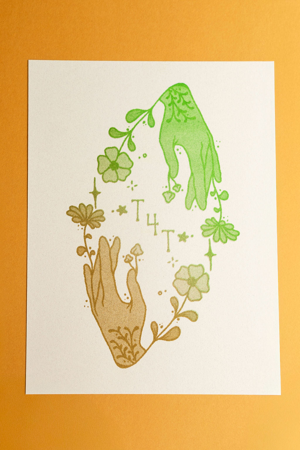t4t riso