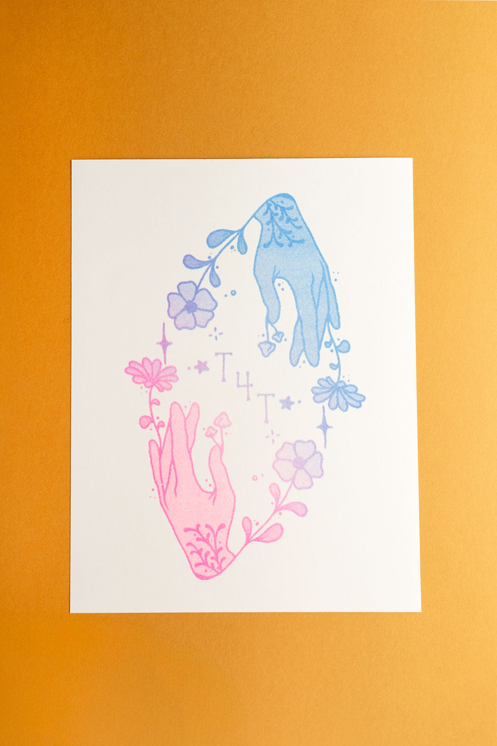t4t riso