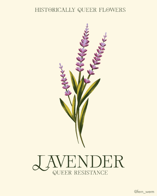 Lavender: Queer Resistance