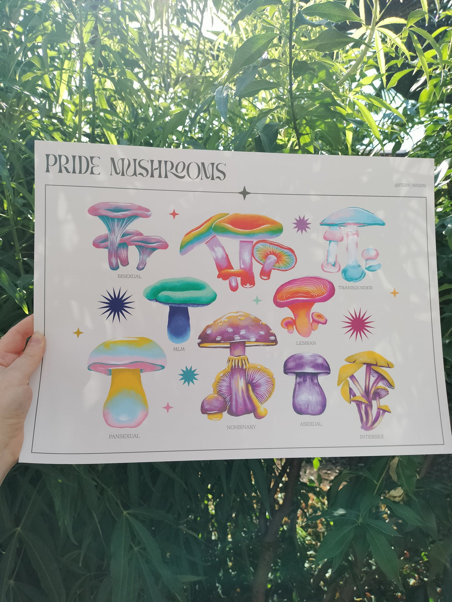 Pride Mushrooms
