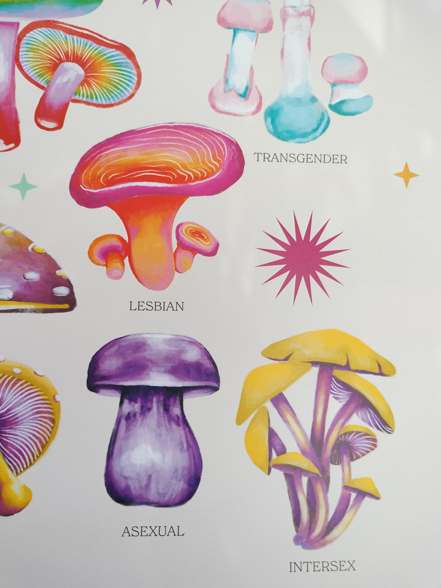 Pride Mushrooms
