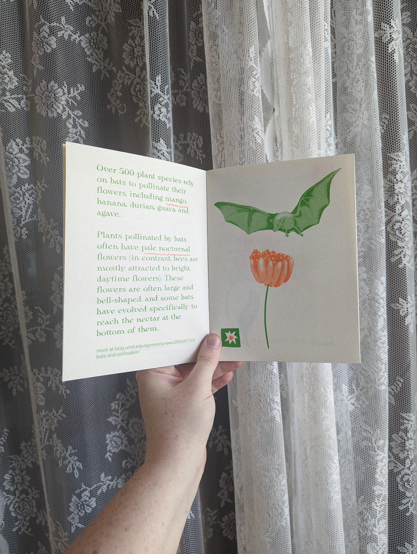 hey, we're pollinators too! zine