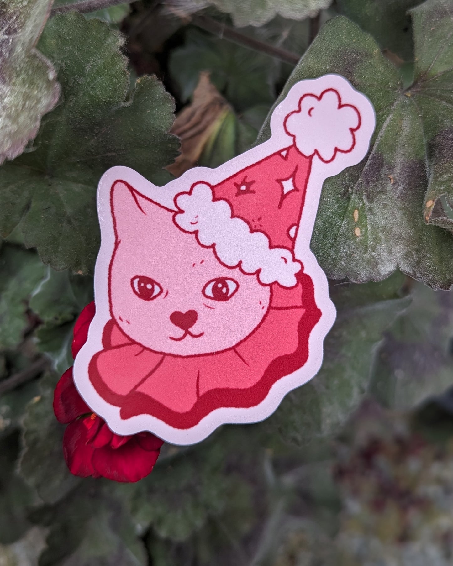 pink jester cat