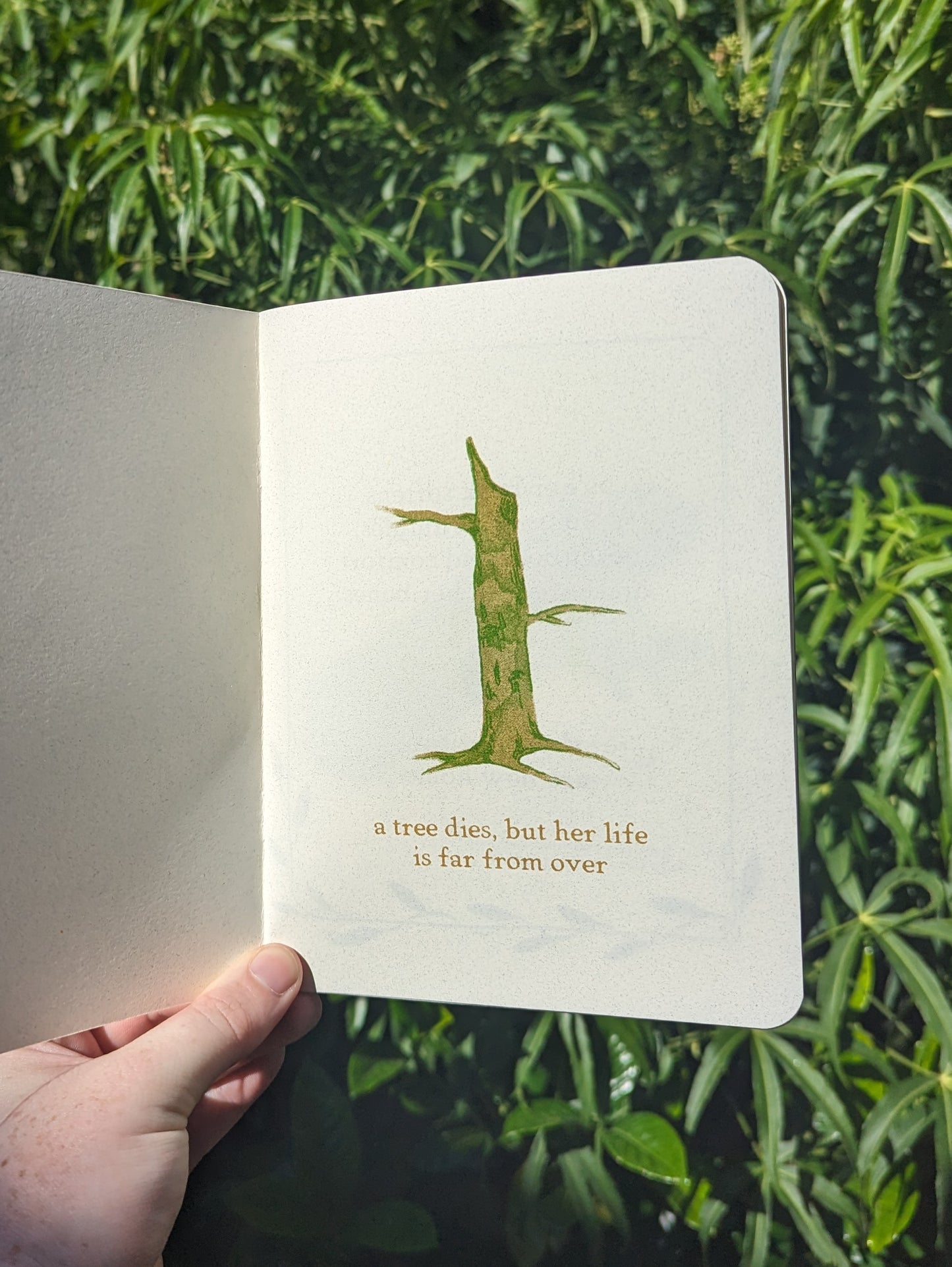 what happens when a tree dies? zine