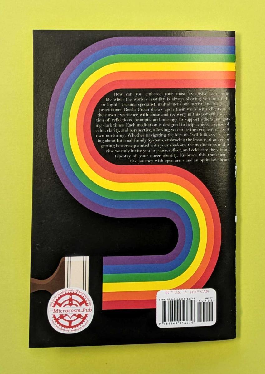 Queer Meditations for Dark Times by Rosśa Crean