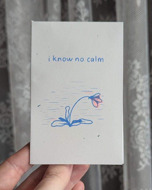 i know no calm zine