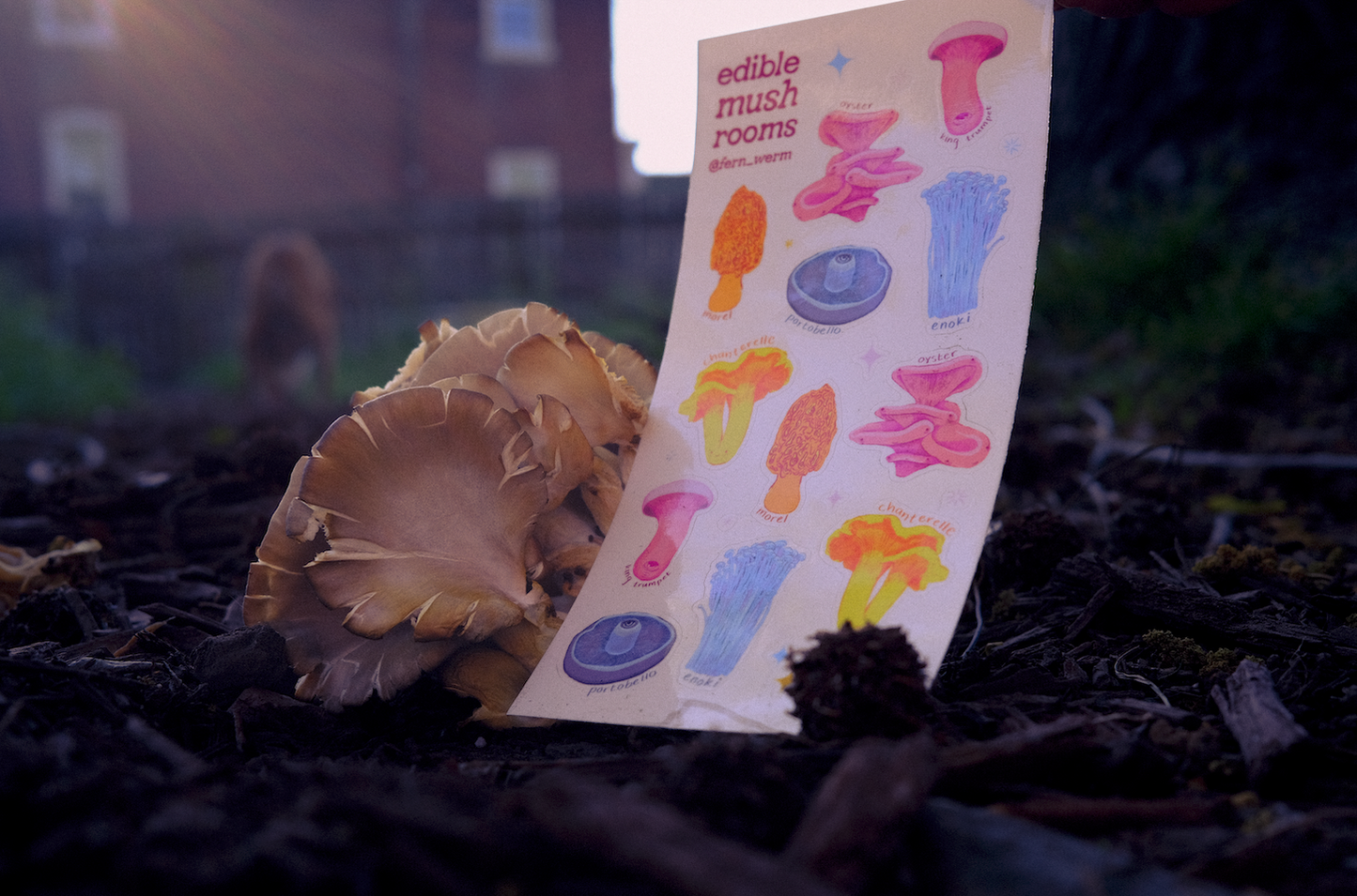 edible mushroom sticker sheet