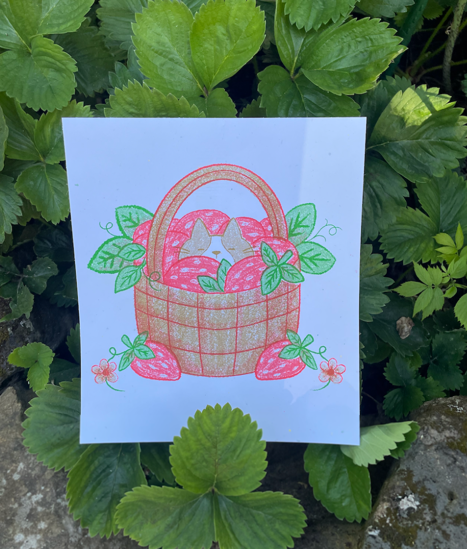 Strawberry Basket Cat print