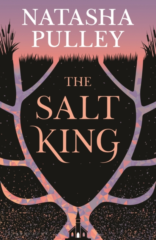 The Salt King by Natasha Pulley