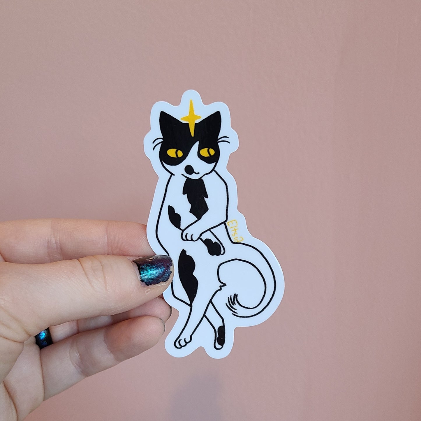 star cat sticker