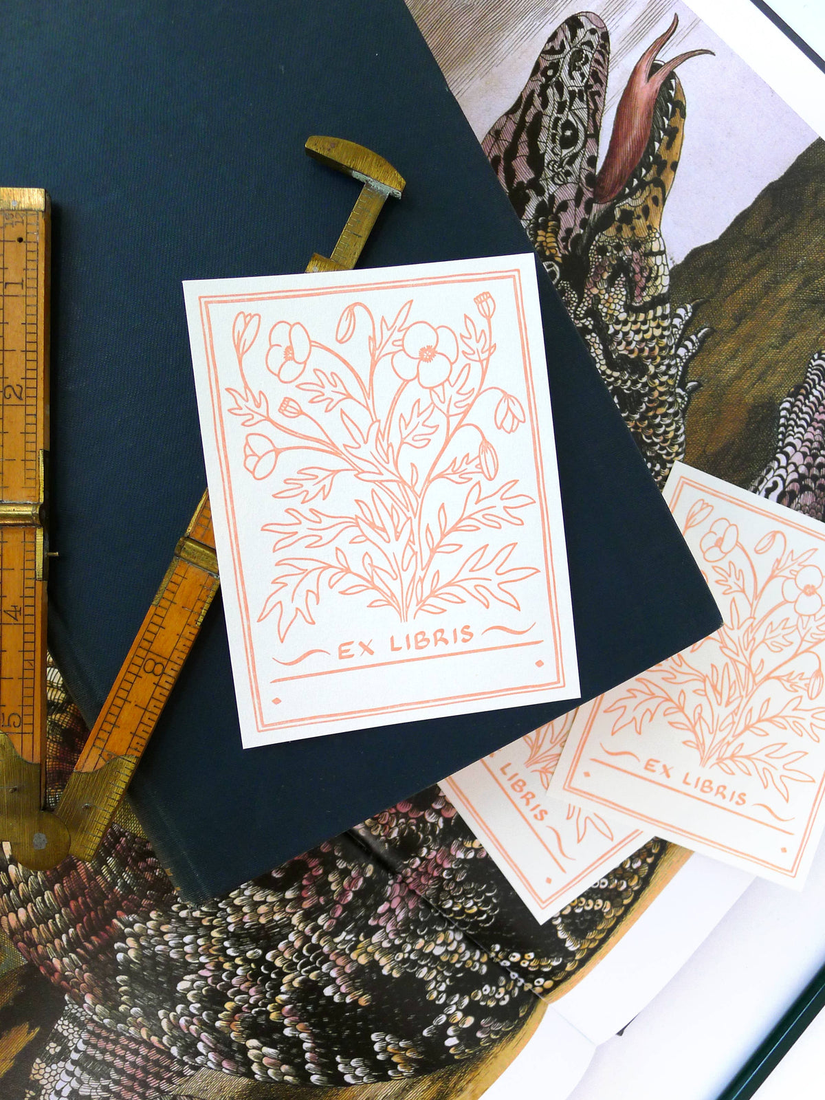 Poppy Bookplate