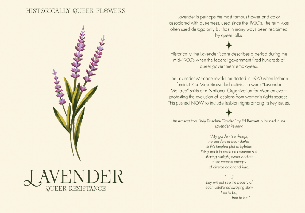 Lavender: Queer Resistance