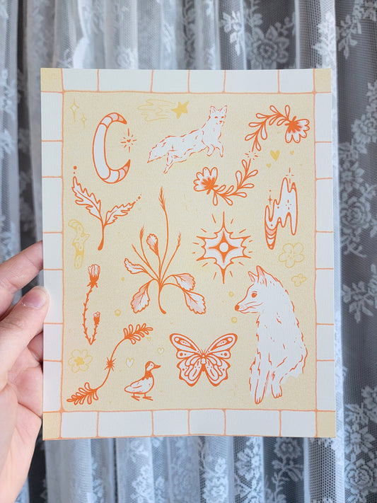 spring fox flash riso