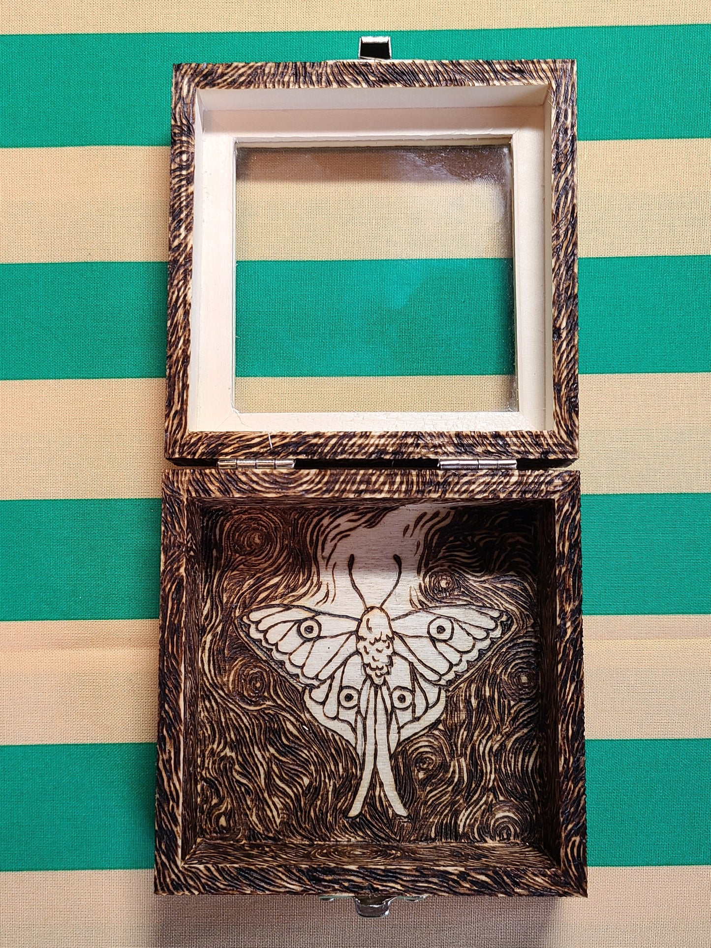 lunar moth box