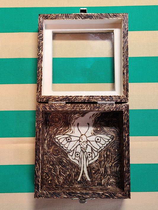 lunar moth box