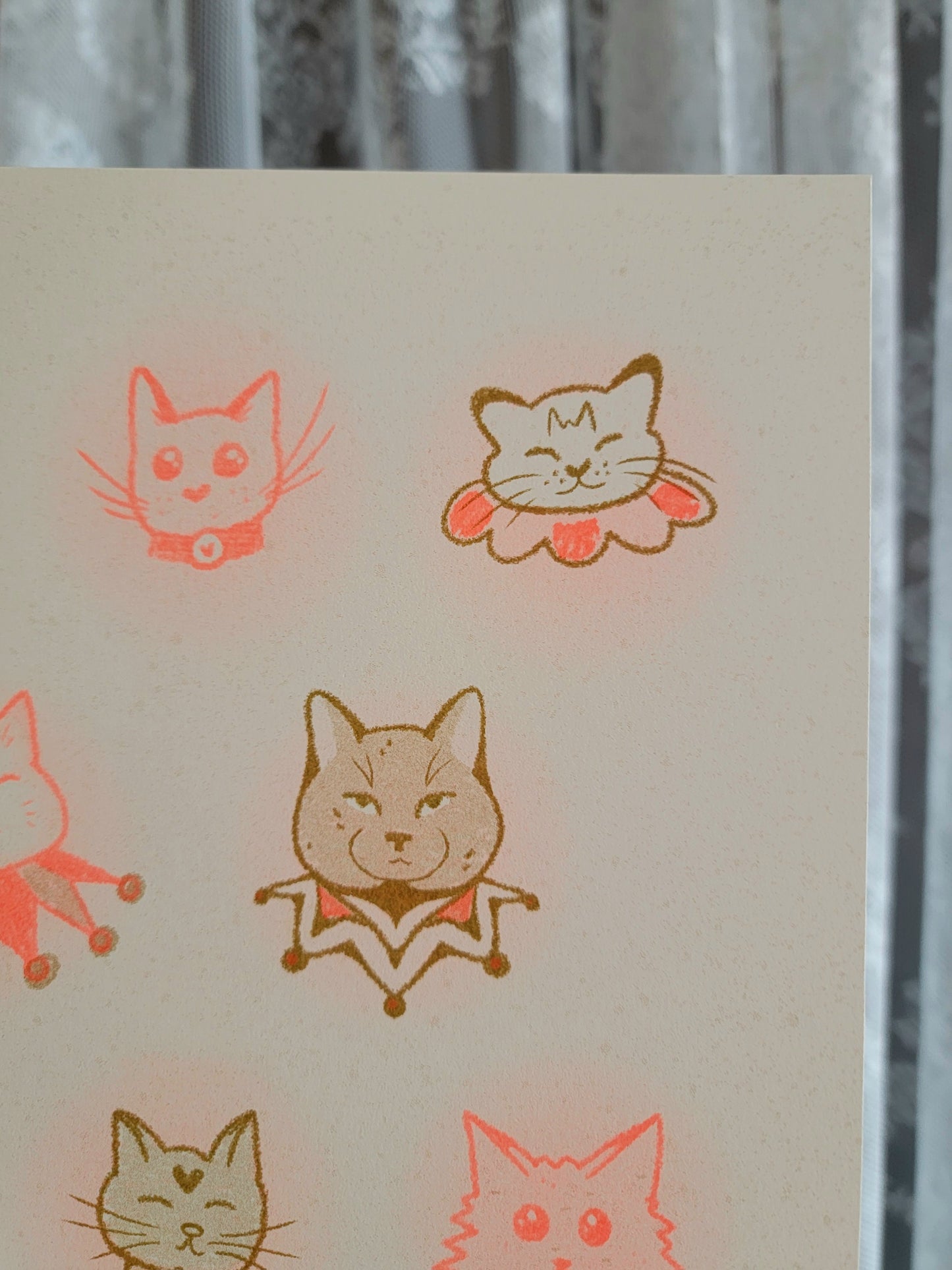 secret raccoon riso print