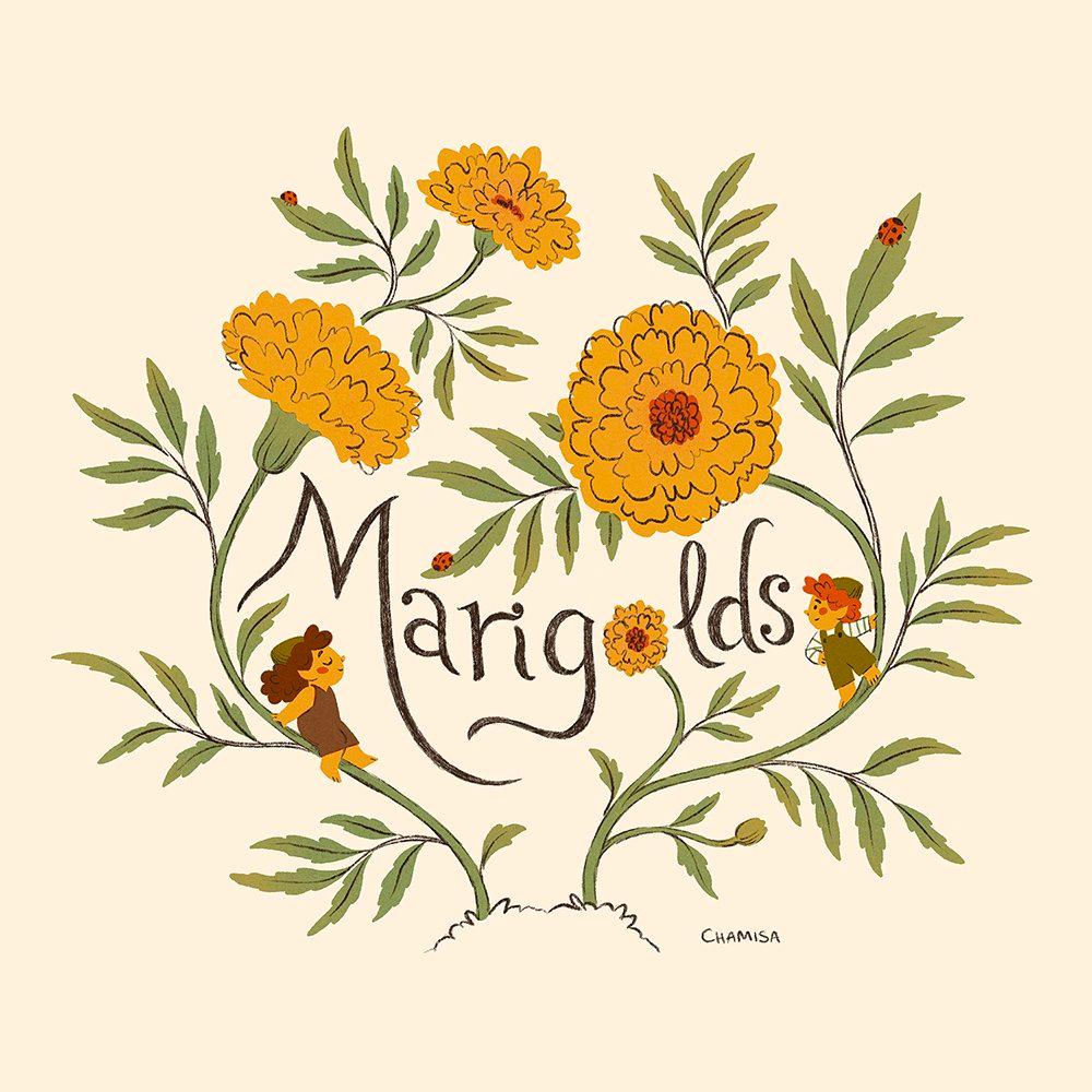 Marigold Tiny Gardeners