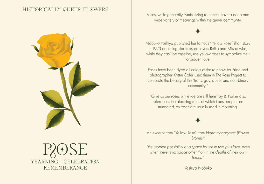 Rose: Yearning | Celebration | Rememberance
