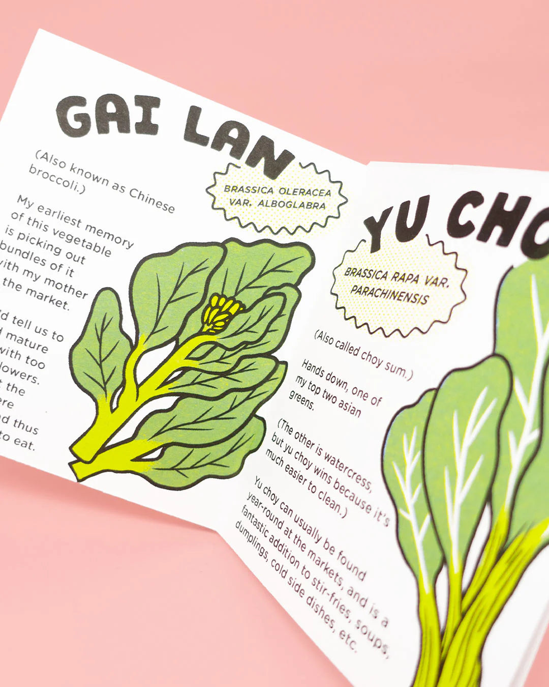 Asian Greens Zine