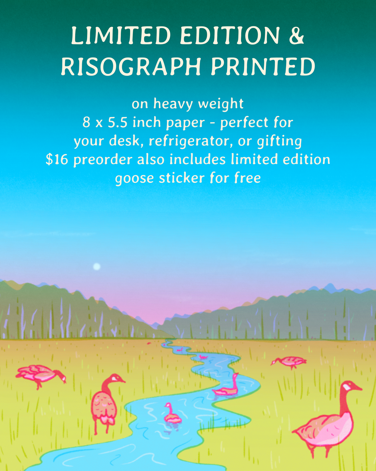PREORDER 2027 goose calendar