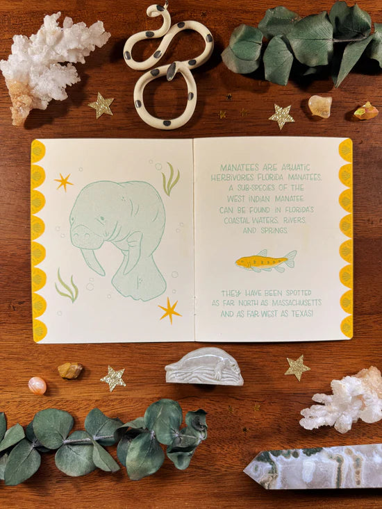 Manatee Zine
