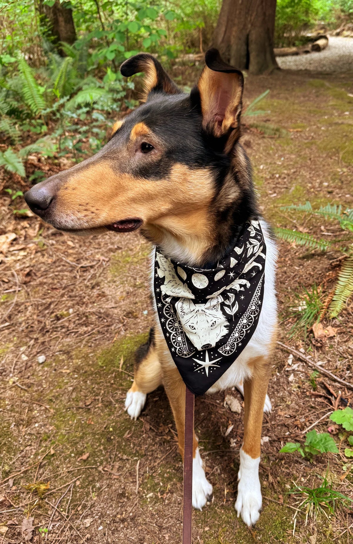 Wolf Glow in the Dark Bandana