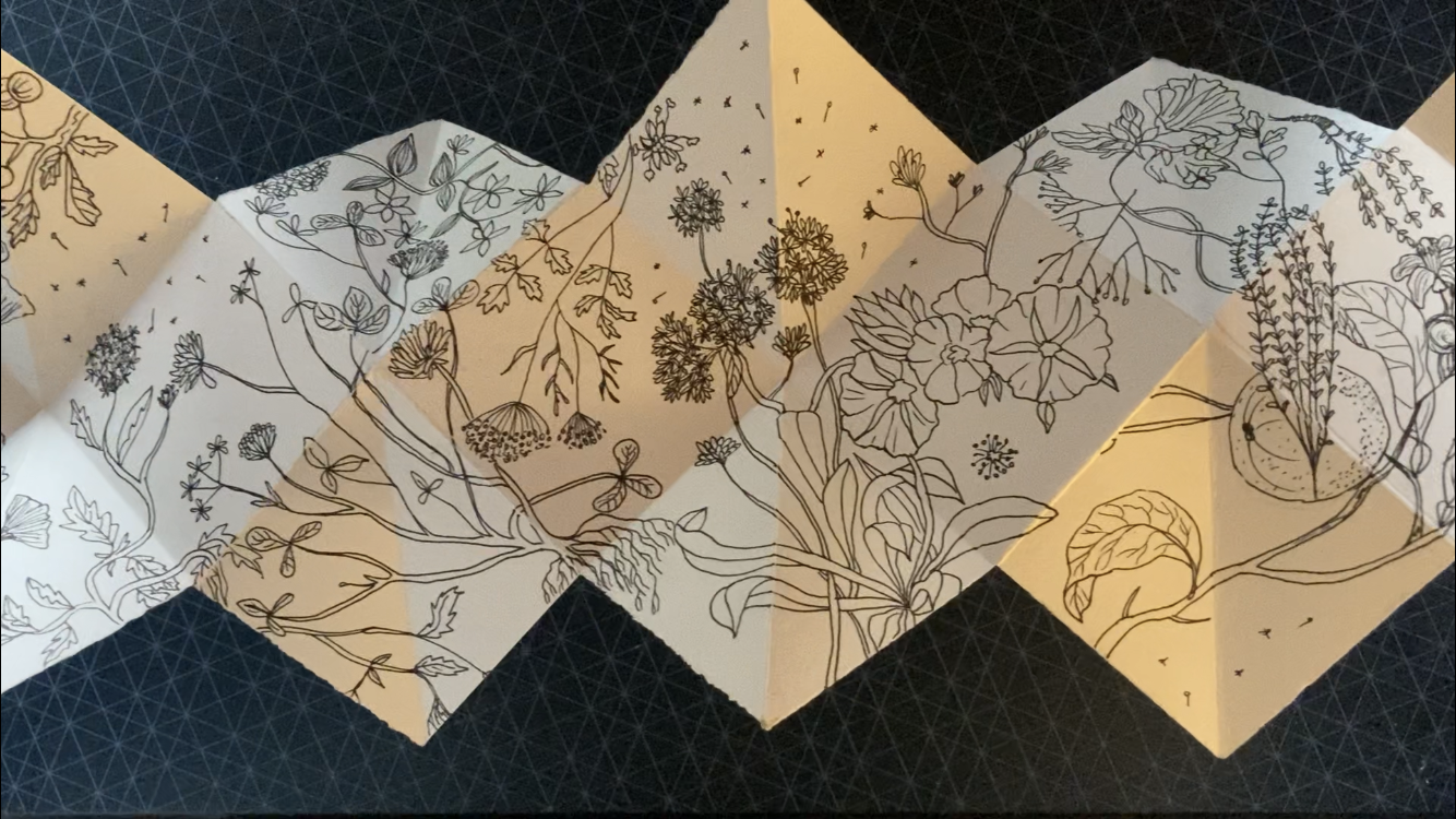 Accordion and Lotus Fold Books Workshop