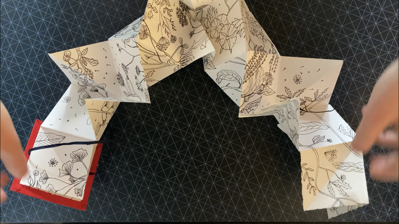 Accordion and Lotus Fold Books Workshop