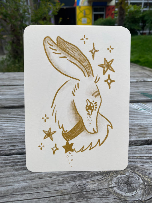Starry Eye Rabbit