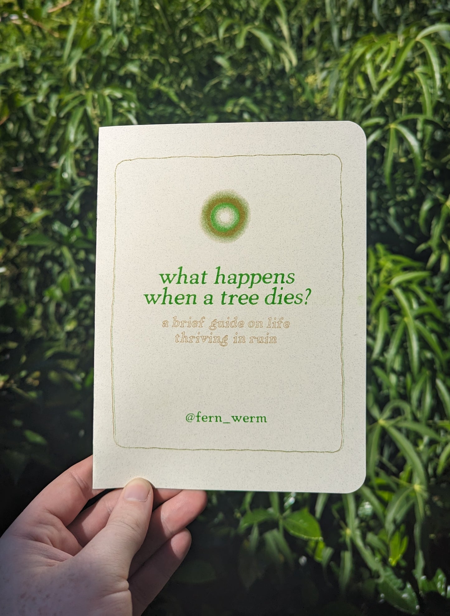 what happens when a tree dies? zine