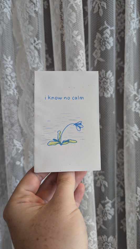 i know no calm zine