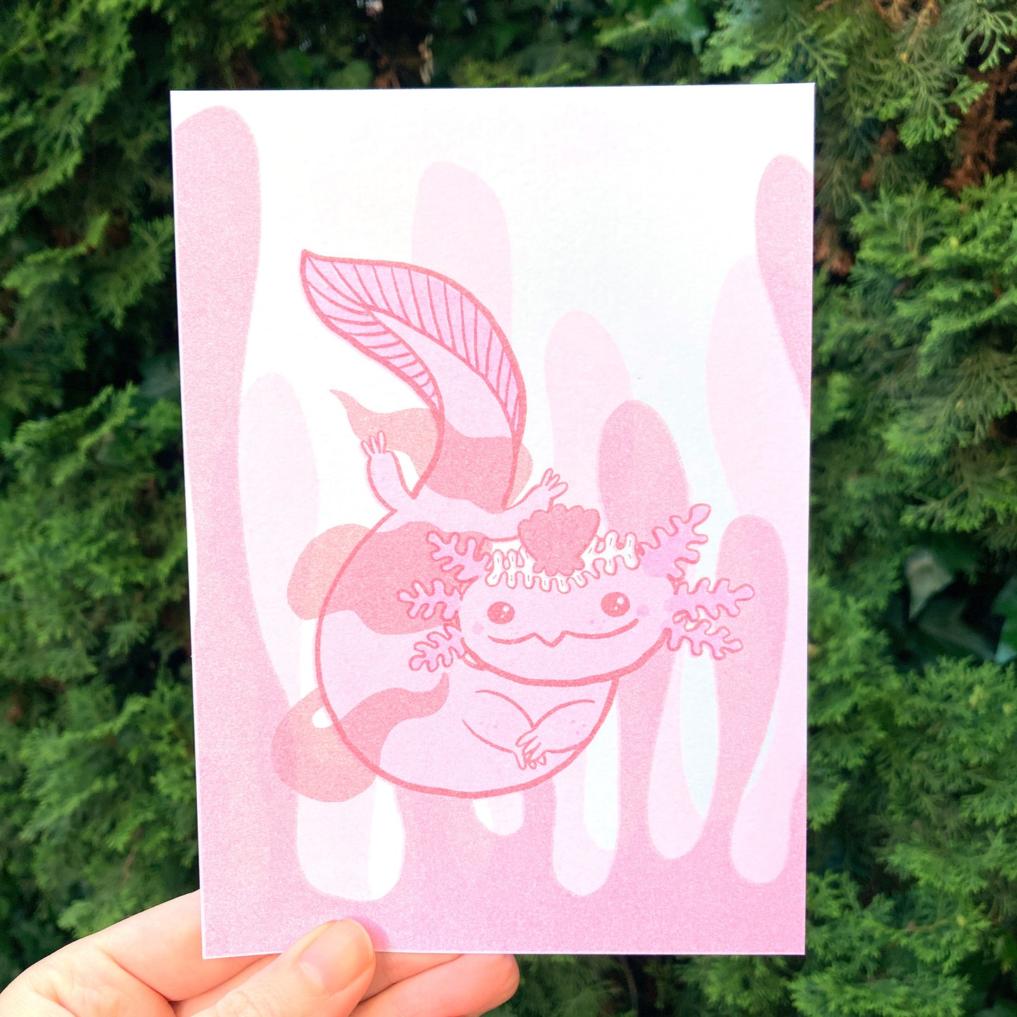 Roxie the Axolotl Print