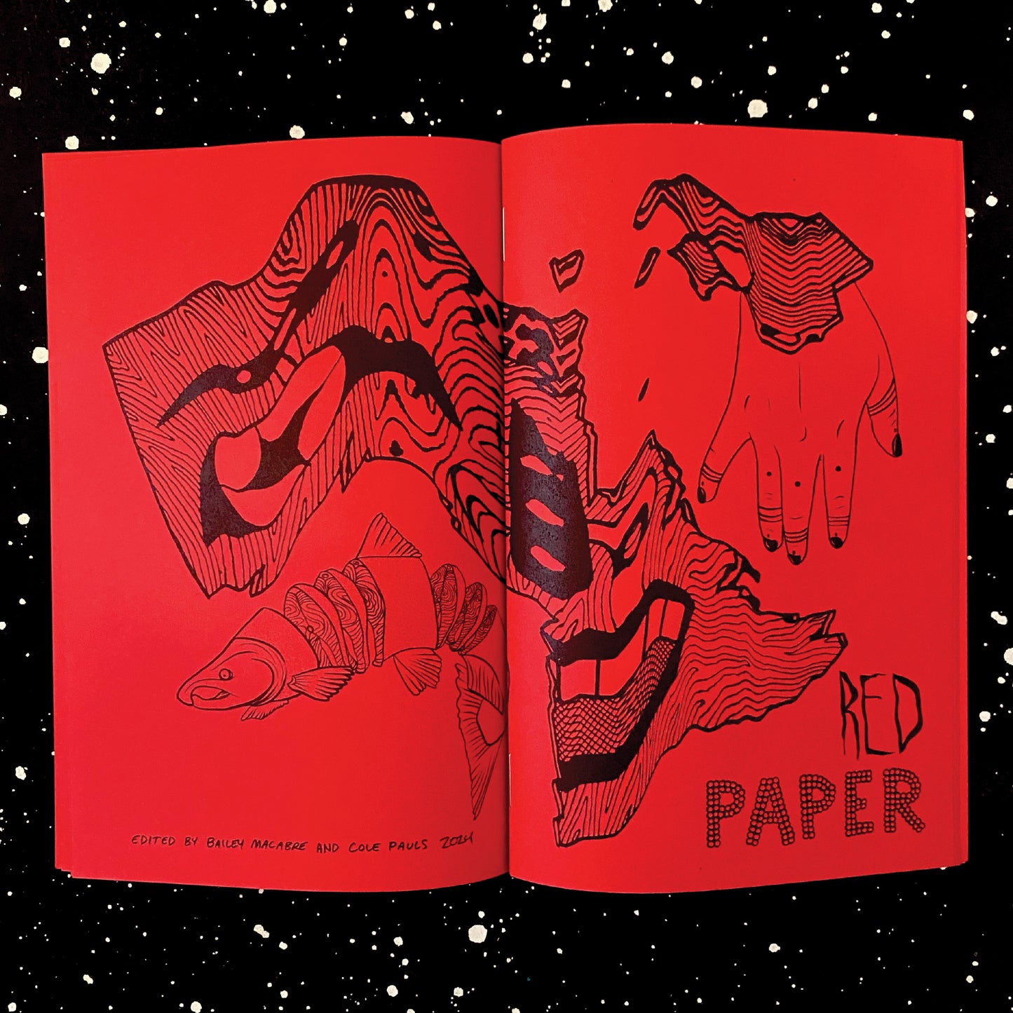 Red Paper Zine Anthology