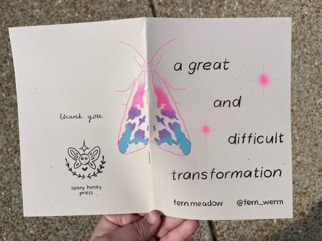 a great and difficult transformation zine