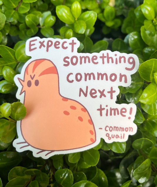 Expect Something Common Next Time sticker