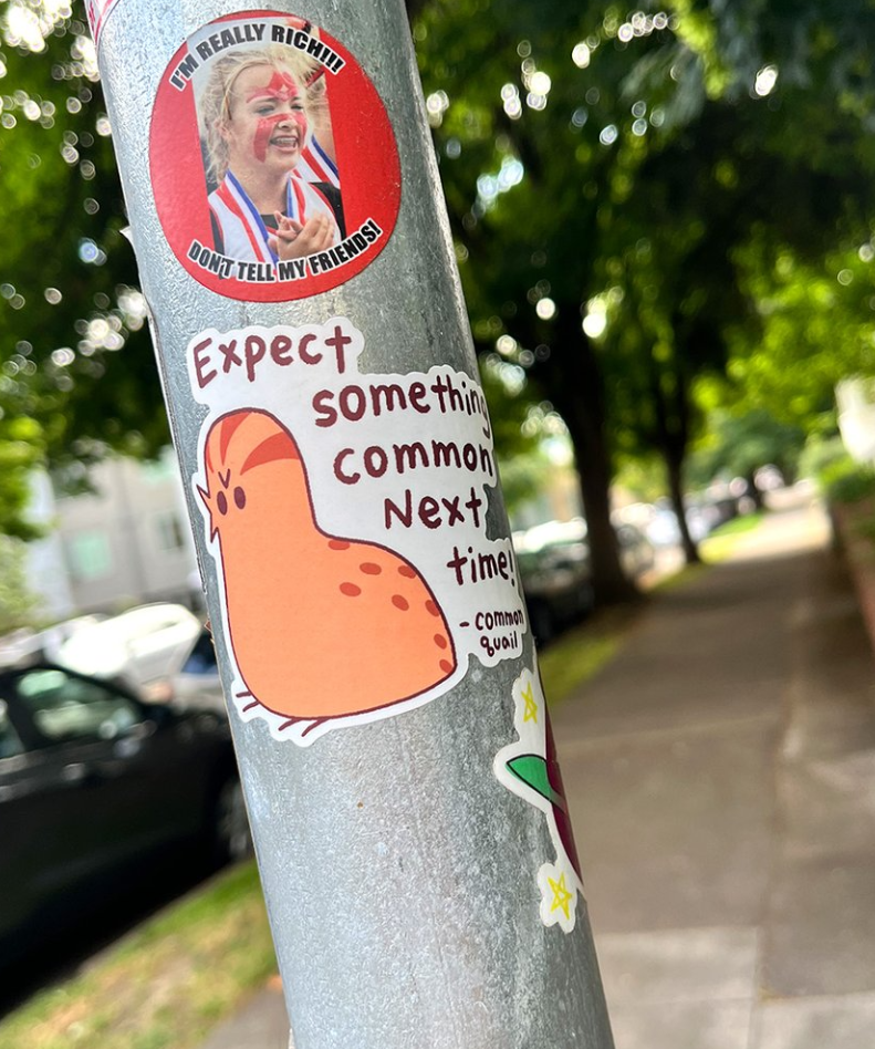 Expect Something Common Next Time sticker