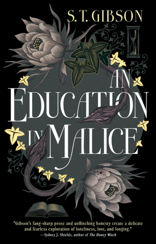 An Education in Malice by S T Gibson