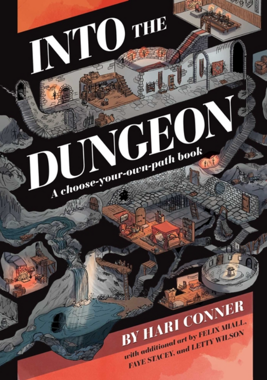 Into the Dungeon: A Choose-Your-Own-Path Book by Hari Conner