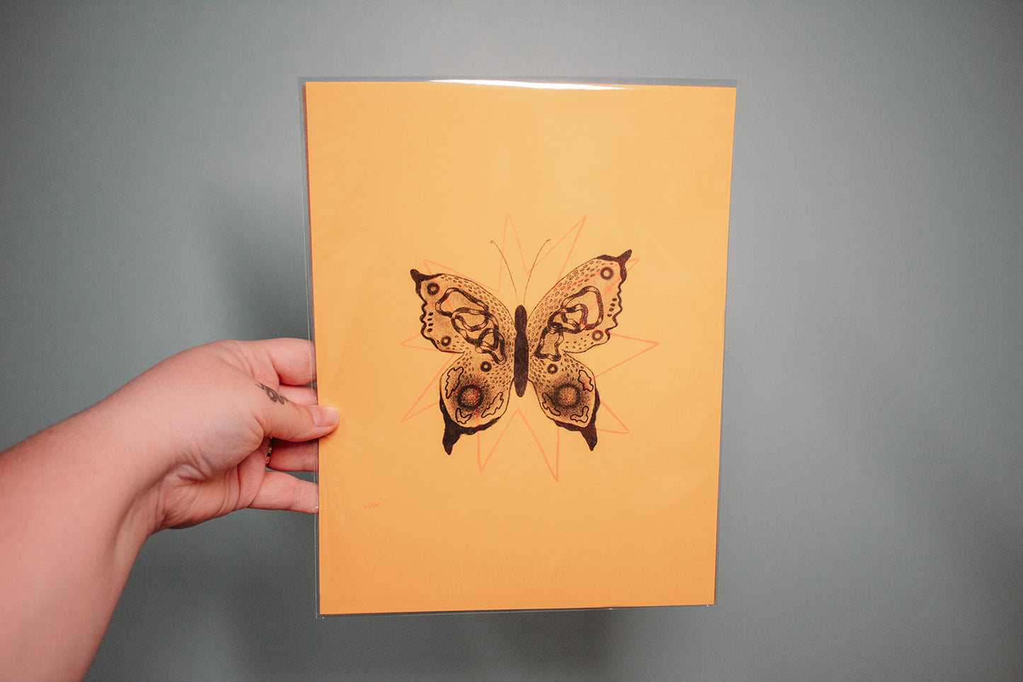 Butterfly Riso