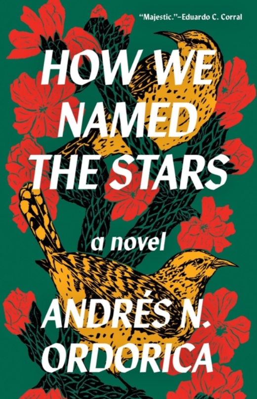 How We Named the Stars by Andrés N Ordorica