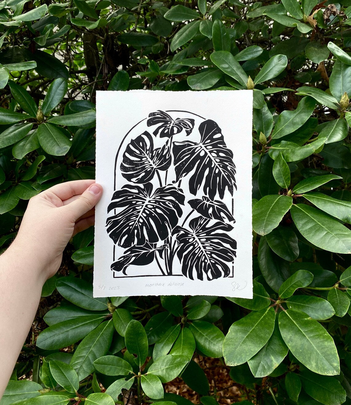 Monstera Deliciosa Linocut Print