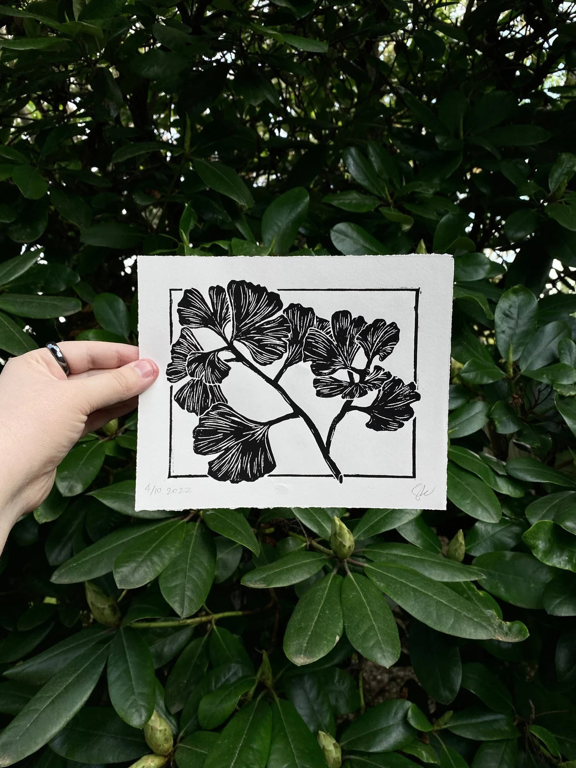 Ginkgo Leaves Linocut Print