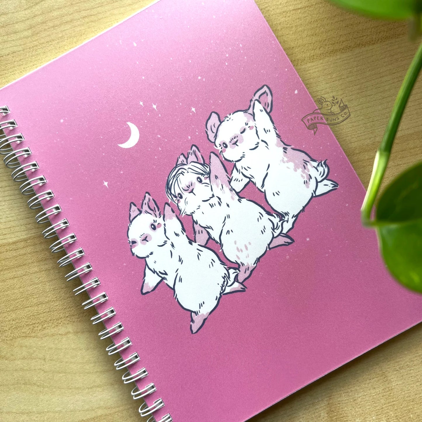 Pink Dance Buns reusable sticker book