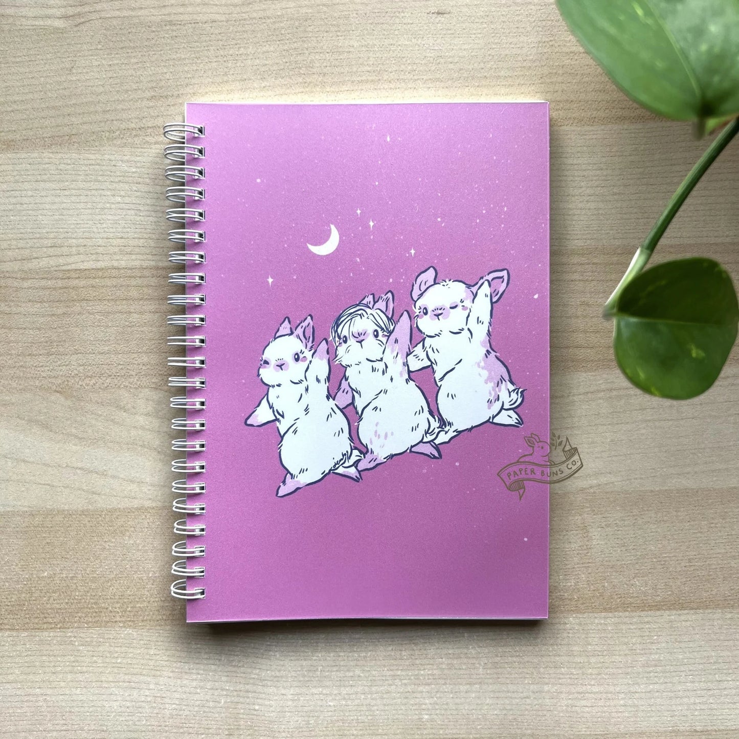 Pink Dance Buns reusable sticker book
